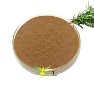 Extracto vegetal natural 10% 50% Extracto de folhas de alecrim em pó Ácido ursólico Extracto de folhas de alecrim