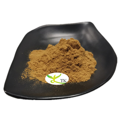 Suplemento de ervas tradicionais Anemarrhenae Asphodeloides (Raiz) Extracto em pó Zhimu Extracto em pó