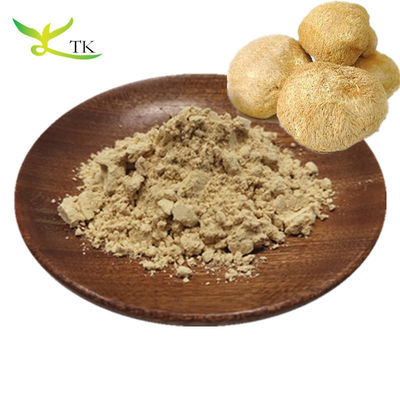 Best Selling Fungos em Pó 100% Pure Lions Mane Powder Hericium Erinaceus em Pó