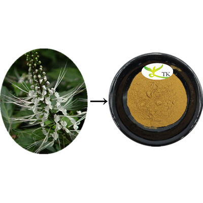 Extracto natural de Orthosiphon Aristatus Extracto de folhas de Orthosiphon Pobre de limpeza Calculi