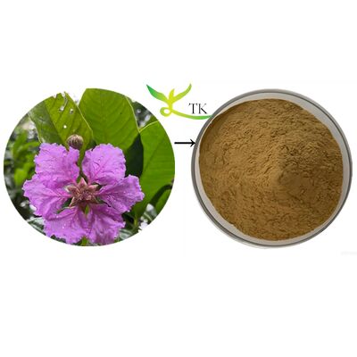 Extracto vegetal natural Lagerstroemia Speciosa Folhas de Banaba Extracto de Banaba Extracto de ácido corosólico em pó