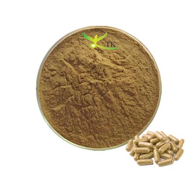 Flavonóides naturais de ginkgo 24% Ginkgo Biloba Leaf Extract em pó