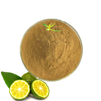 Preço por Varejo 100% Extracto de Bergamot Natural 4:1 10:1 Extracto de Bergamot Citrus em pó