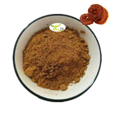 Por grosso Extracto de cogumelos Lingzhi Natural em pó Extracto de cogumelos Reishi em pó Polisacáridos