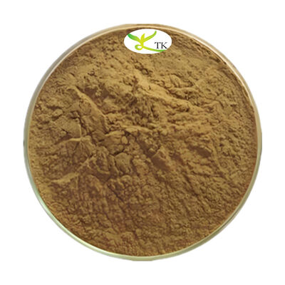 Extrato de ervas naturais Alpinia Officinarum Extrato de raiz de galanga em pó