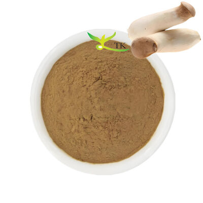 Suplemento de cogumelos naturais King Trumpet Extracto de cogumelos em pó Polissacarídeos 20%