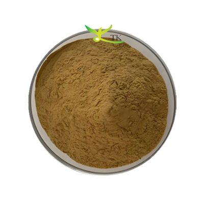 Fornecimento de fábrica Bacopa Monnieri Extract 40% Bacopasides em pó Brahmi Extract em pó