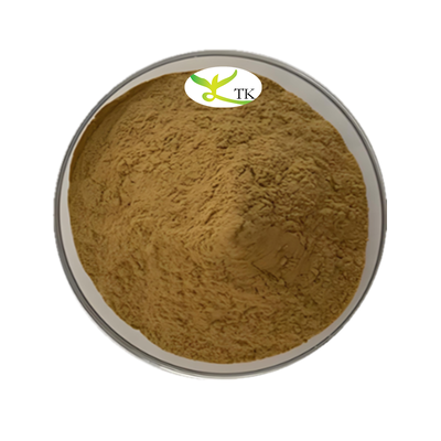 Extracto de Erva Chinesa Andrographis Paniculata Andrographolide 20% 98% CAS 5508-58-7 Andrographolide