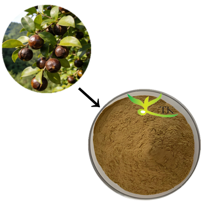 Preço de Atacado 100% Extrato Natural de Camellia Sinensis em Pó Extrato de Saponina de Chá para Cosméticos