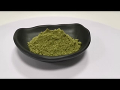 100% extrato natural de Moringa em pó Oleifera Moringa Leaf Powder Capsulas de Moringa