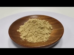 Molho de Leão Manjericão Cordyceps Turquia Cauda Maitake Reishi Chaga Extracto de cogumelo em pó cápsulas