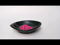 Extrato de Cranberry solúvel a granel em pó Antocianina 25% OPC em pó