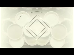 Extracto de morango em pó Solúvel em água em pó de clorofila natural de qualidade alimentar