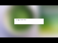 Por grosso Moringa Oleifera chá em pó Moringa folha em pó cápsulas em pó a granel