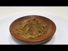 Preço por atacado 100% Extracto de Coptis Chinensis Natural 10:1 20:1 Em estoque