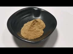 Grade Alimentar Melhor Preço Aloe Vera em Pó Extracto Natural de Aloe Vera em estoque