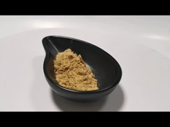 Extracto de planta natural em pó Extracto de cogumelo em pó