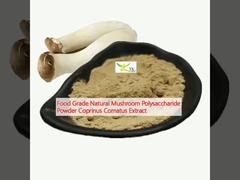 Polissacarídeo de cogumelo natural em pó Coprinus Comatus Extract