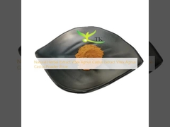 Extracto de Ervas Naturais Vitex Agnus Castus Extracto de Vitex Agnus Castus Preço em pó