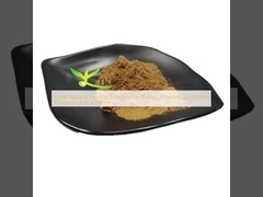 100% Extracto Natural de Fructus Schisandrae em Pó Schisandra Chinensis