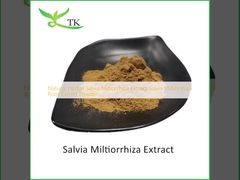 Extracto de Ervas Naturais de Salvia Miltiorrhiza Extracto de Raiz de Salvia Miltiorrhiza em pó