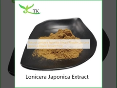 Pó de Extrato Natural de Lonicera Japonica Preço do Extrato de Flor de Lonicera japonica