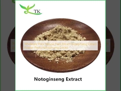 Preço por atacado Extrato de Planta Natural Extrato de Notoginseng em Pó Extrato de Panax Notoginseng