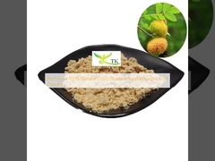 Melhor preço 100% de qualidade alimentar Rosa Roxburghii em pó de frutas