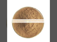 Extracto de casca de cebola 100% natural de qualidade alimentar