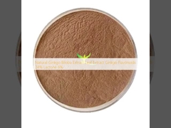 Extrato Natural de Folha de Ginkgo Biloba Extrato de Ginkgo Flavonóides 24% Lactona 6%