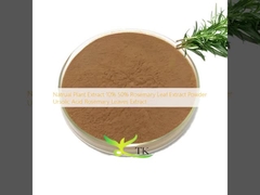 Extracto vegetal natural 10% 50% Extracto de folhas de alecrim em pó Ácido ursólico Extracto de folhas de alecrim