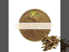 Ginseng Siberiano Natural Pura Eleutherococcus Senticosus Raiz em Pó 10:1 Acanthopanax Senticosus Rhizome Eleuthero Raiz Extracto em Pó