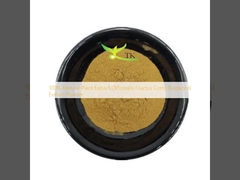 Extracto vegetal 100% natural de Officinalis Fructus Corni, extrato de dogwood em pó