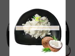 Preço por grosso Leite de coco em pó 100% puro Creme de coco em pó a granel