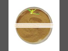 Extracto de planta natural de alta pureza Extracto de framboesa branca Extracto em pó Extracto de framboesa Frutos/folhas