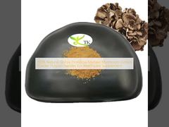 100% Extrato Natural de Cogumelo Maitake Grifola Frondosa em Pó Polissacarídeos para Suplemento de Saúde