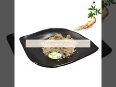 Extrato de Raiz de Ginseng Panax 100% Natural em Pó a Granel