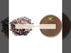 Extrato de Gengibre Preto Tailandês 1% 5% 5,7-dimetoxiflavona em Pó Para Homens