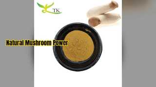 Extrato de cogumelo ostra aumenta a imunidade e o poder do cérebro